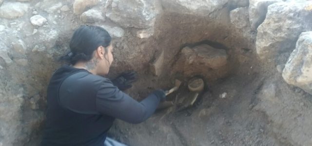 Historiadora explica o uso de radiocarbono na Arqueologia