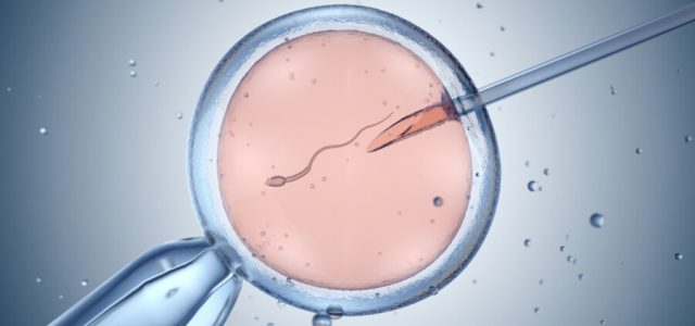 Reprodução assistida registra alta de 36% em três anos