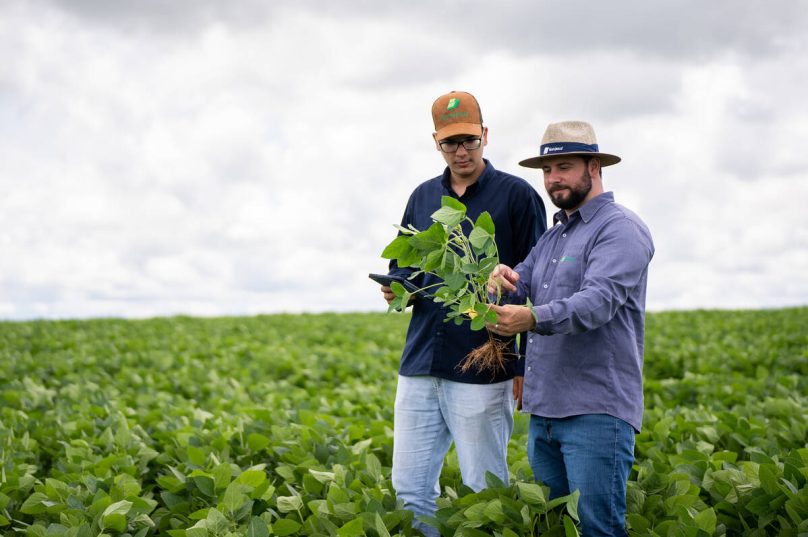 Bom Jesus publica segundo Relatório de Sustentabilidade