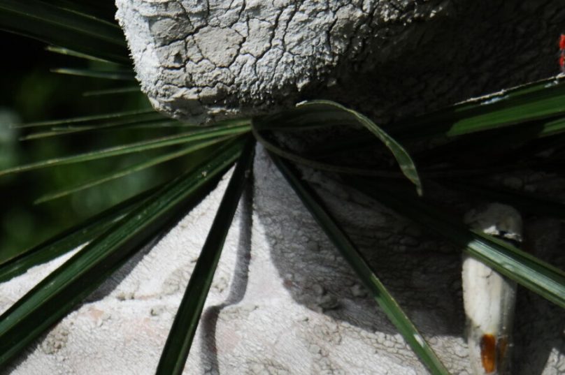 CPF SESC promove o seminário Perspectivas do Clima
