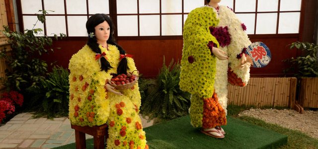 Excursões já se organizam para a Festa de Flores e Morangos