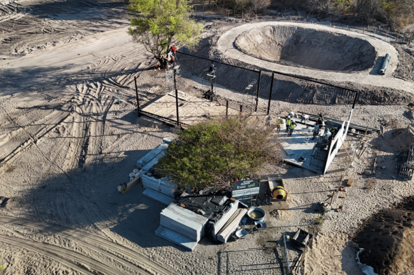 Implantação de viveiro agrícola fortalece semiárido baiano