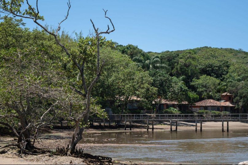 Os mangues deram origem ao nome da Praia de Manguinhos. Imagem: Matheus Coutinho