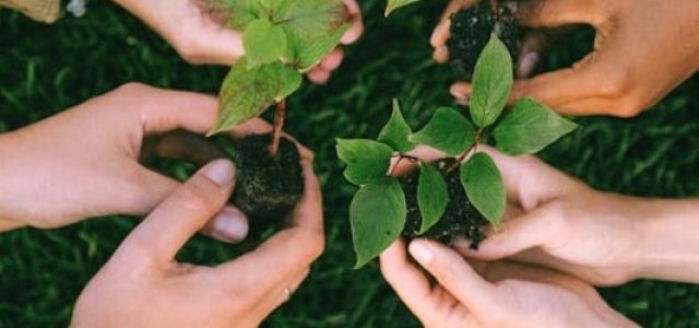 Meta de neutralidade de carbono visa controlar o aquecimento