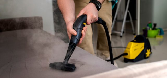 Empresa cria planos de assinatura para limpeza de estofados