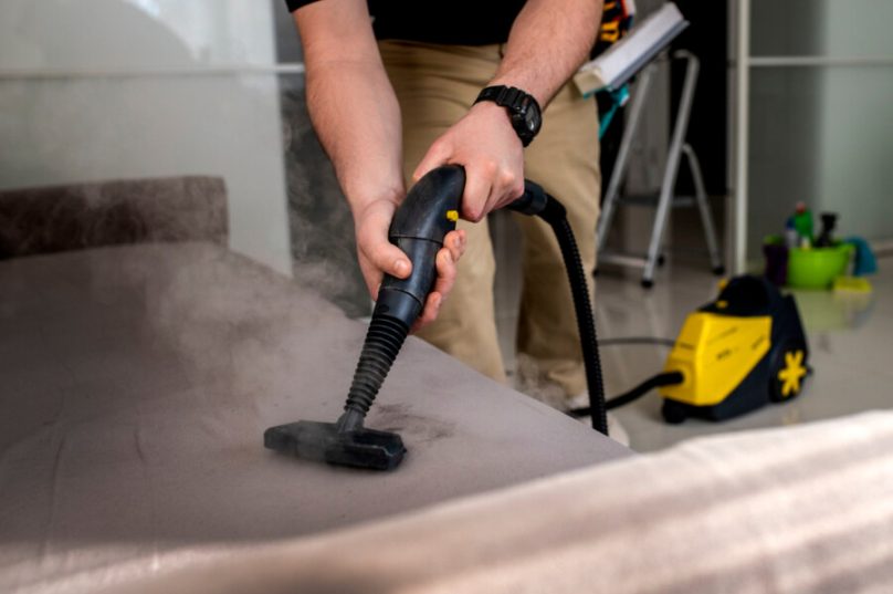 Empresa cria planos de assinatura para limpeza de estofados