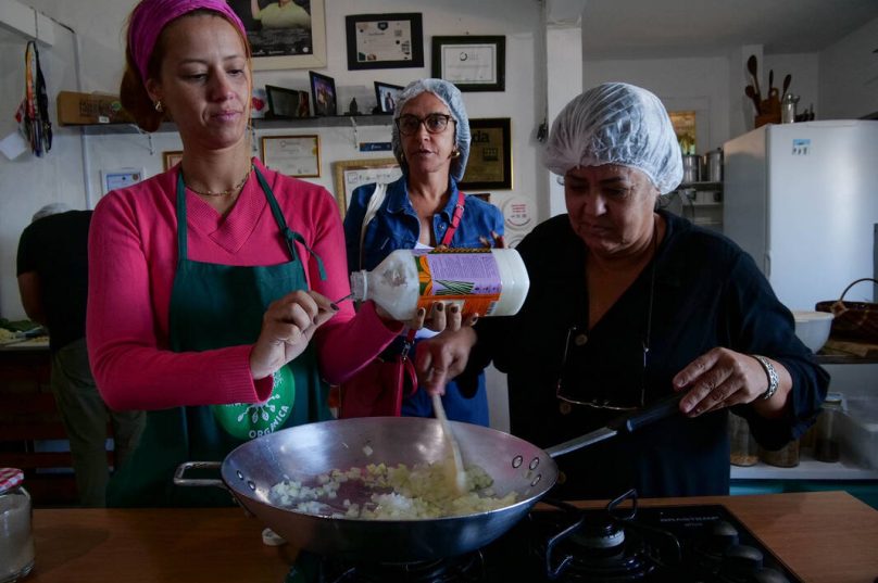 Instituto Aupaba inicia projeto inédito que cria roteiro de turismo regenerativo