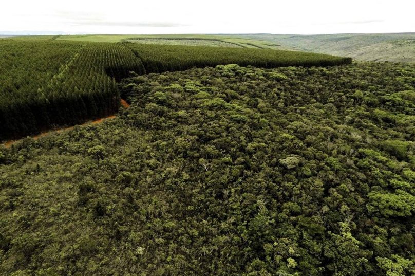 Setores produtivos ampliam ações ambientais em Minas Gerais