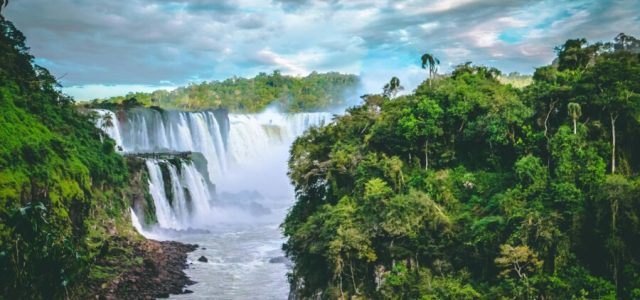 Mercado de crédito de carbono acelera no Brasil