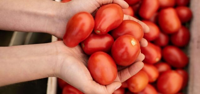 Fugini explica tecnologia do molho de tomate sem conservante