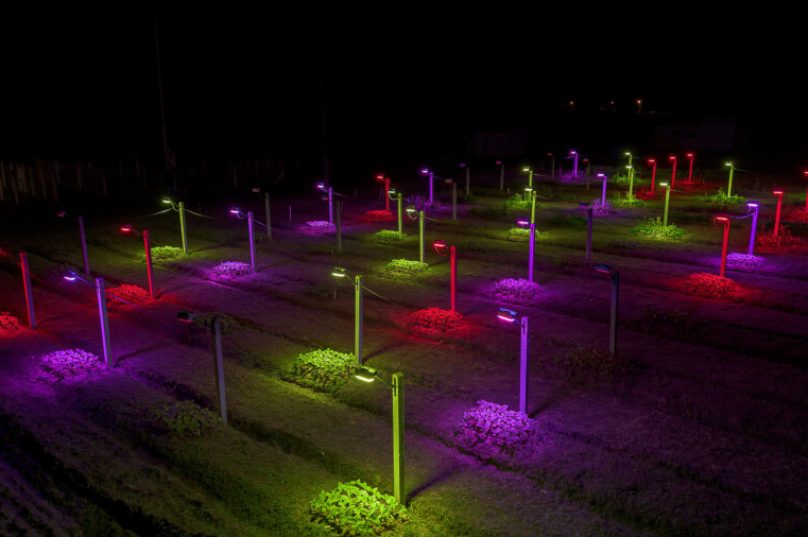 Intral apresenta projeto de iluminação indoor em congresso nos EUA
