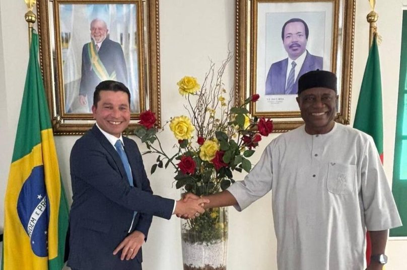 Produto brasileiro ganha apoio internacional contra malária