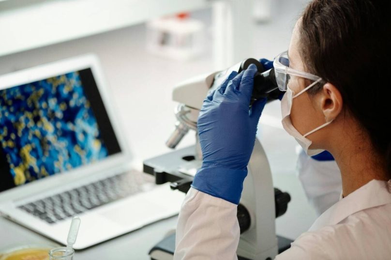 Cannabis medicinal apresenta avanço na medicina de precisão Cannabis medicinal apresenta avanço na medicina de precisão