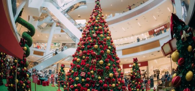 Boulevard Shopping celebra o “Natal Divertido dos Ursos”