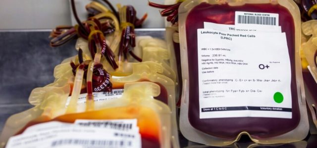 Brasil descarta doações de sangue por falhas de conservação e contaminação