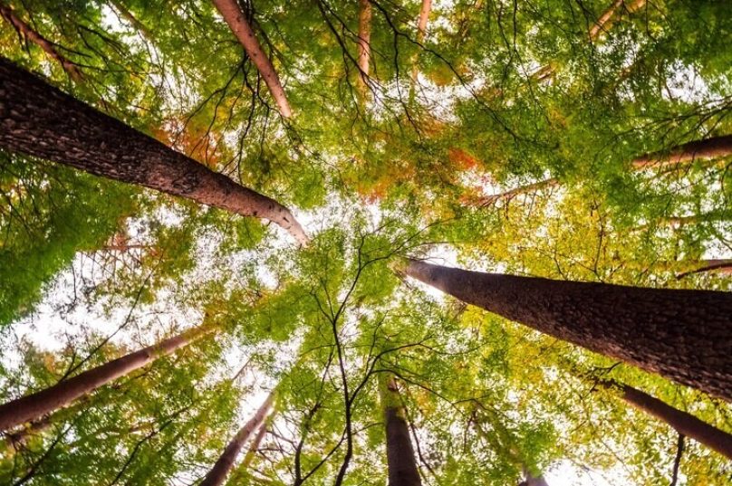 Cirion publica seu primeiro Relatório de Sustentabilidade (ESG)