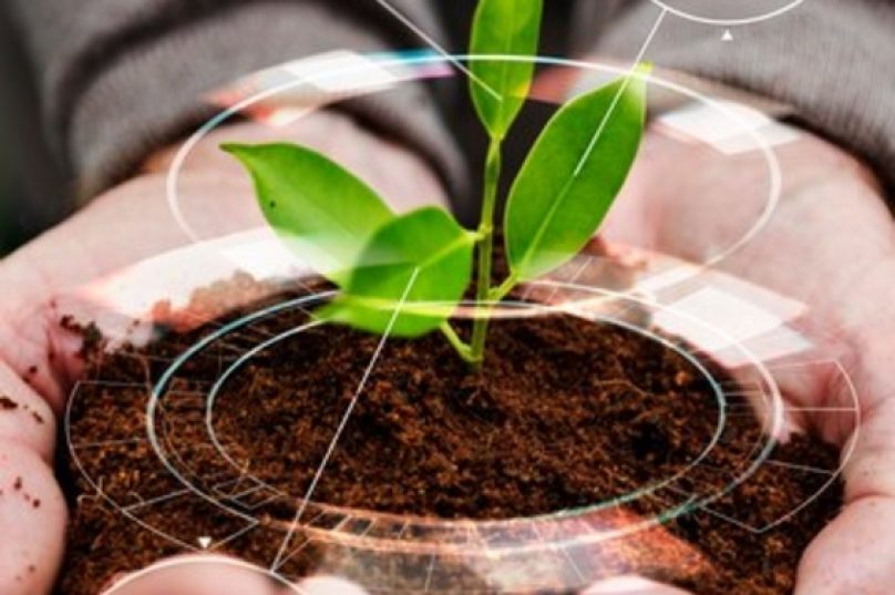 Prática ESG traz desafios para o comércio internacional