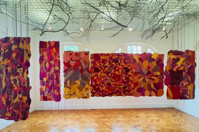 Fernanda Froes apresenta “Utopia Botânica” no Museu do Jardim Botânico