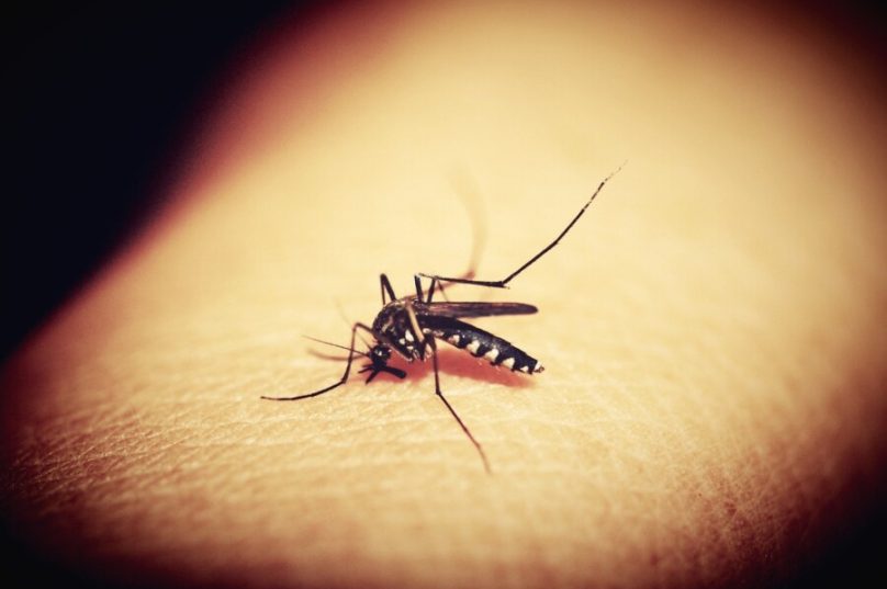 Aumenta preocupação com quadros graves de dengue no Brasil Aumenta preocupação com quadros graves de dengue no Brasil