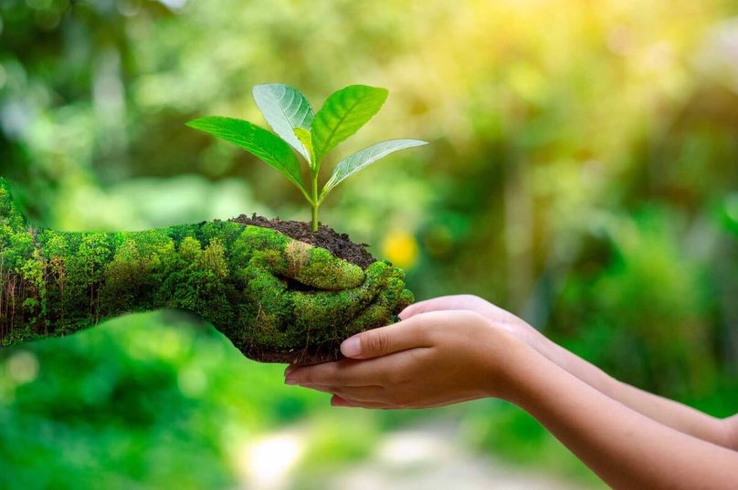 Educação ambiental promove o desenvolvimento sustentável Educação ambiental promove o desenvolvimento sustentável