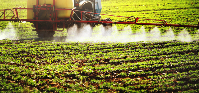 Publicação aponta uso de pesticidas em alimentos infantis