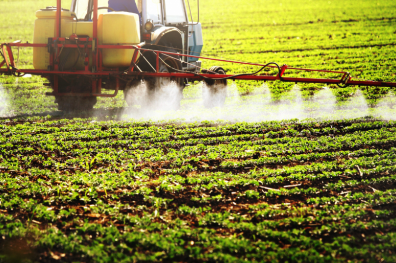 Publicação aponta uso de pesticidas em alimentos infantis