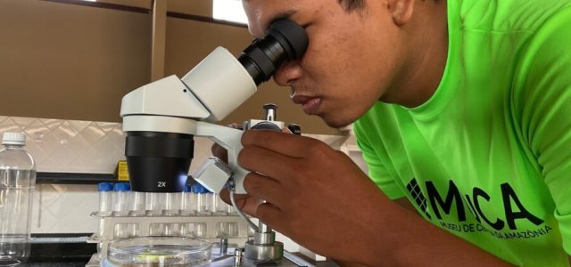 Museu de Ciência da Amazônia impulsiona economia verde