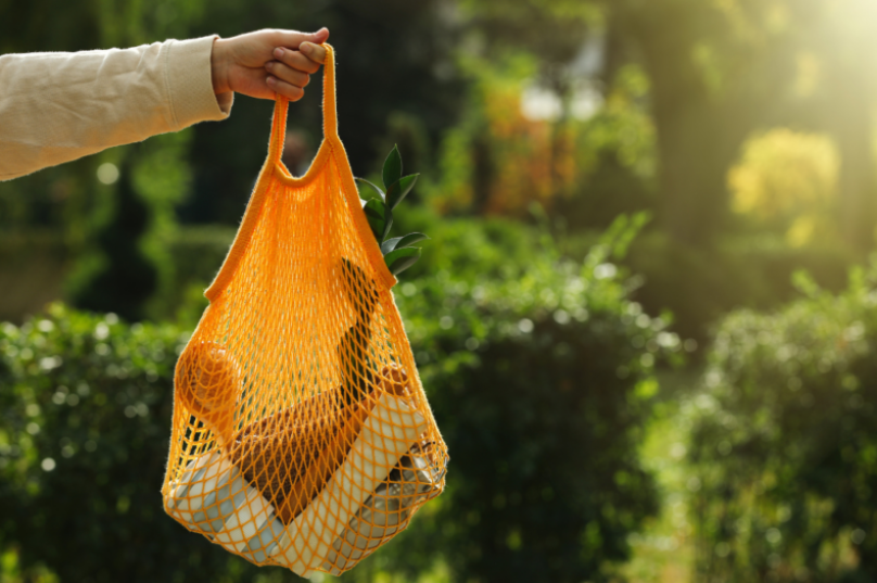 Estudo revela tendências de consumo sustentável