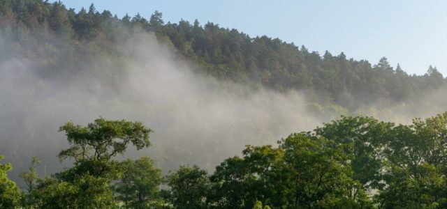 Camada de ozônio pode se recuperar em quatro décadas