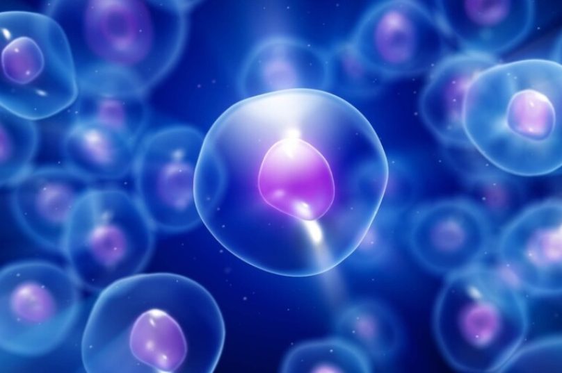 Tratamento experimental com células-tronco ajuda a controlar epilepsia grave