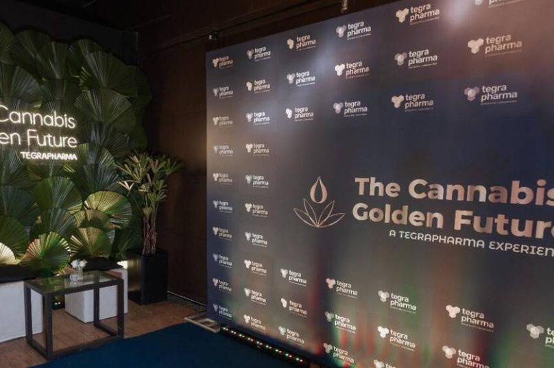 Cannabis medicinal impulsiona debate médico no Brasil