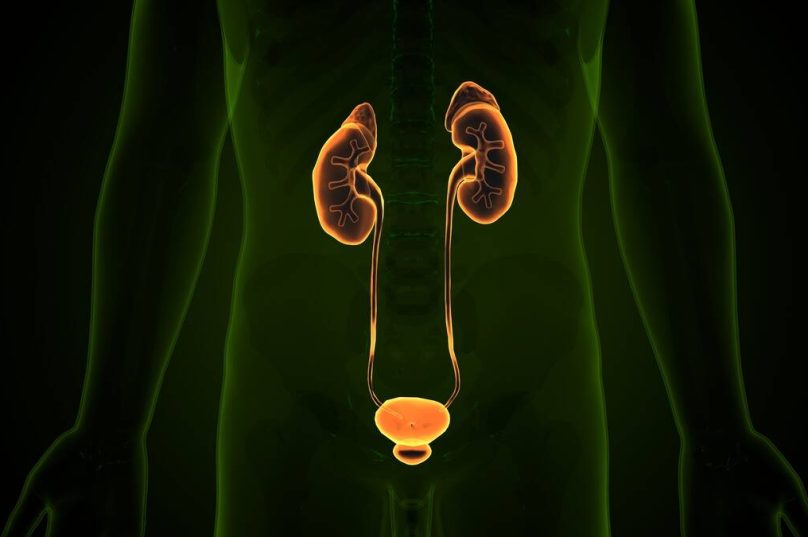 Tecnologia transforma tratamentos na urologia moderna