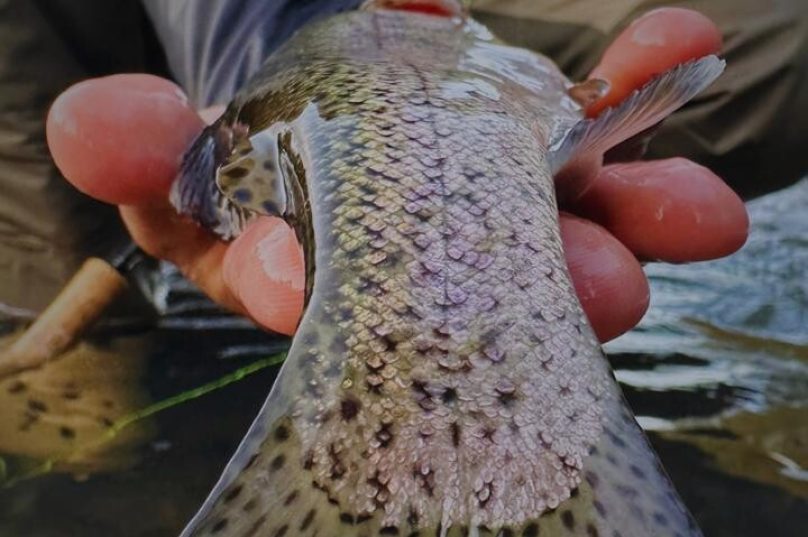 Documentário brasileiro sobre a pesca da truta vence Festival na Espanha
