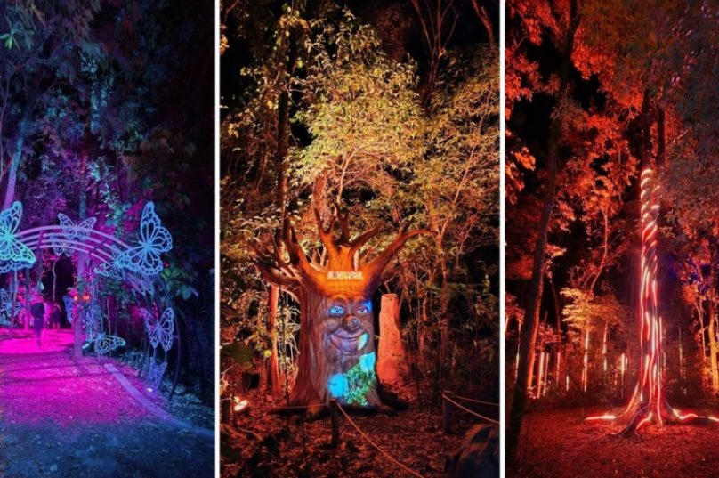 Wonder Park Foz inaugura nova atração "Lumina"