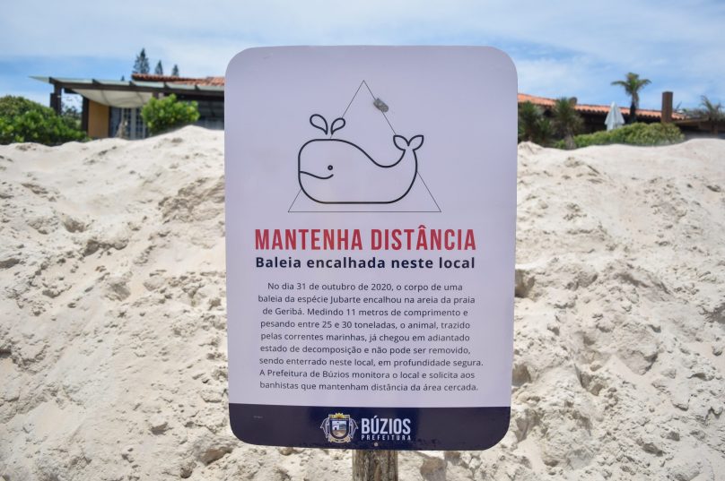 Placa de sinalização do encalhe. Imagem: Prefeitura de Búzios