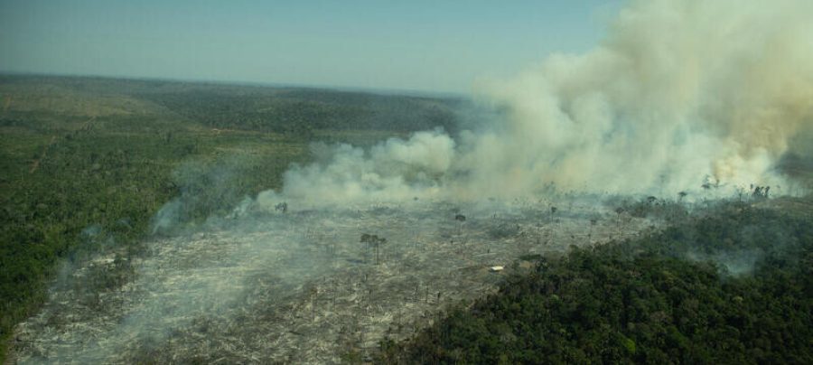 Recently deforested and burnt area in Porto Velho, Rondônia state. Every year, Greenpeace Brazil flies over the Amazon to monitor deforestation build up and forest fires. From July 29th to 31st, 2021, flights were made over points with Deter (Real Time Deforestation Detection System) and Prodes (Brazilian Amazon Satellite Monitoring Project) warnings, besides heat spots notified by Inpe (National Institute for Space Research), in the states of Amazonas, Rondônia, Mato Grosso and Pará. Área recém desmatada e queimada em Porto Velho, Rondônia. Todos os anos o Greenpeace Brasil realiza uma série de sobrevoos de monitoramento, para acompanhar o avanço do desmatamento e das queimadas na Amazônia. De 29 a 31 de julho de 2021, monitoramos pontos com alertas do Deter e Prodes, além de pontos de calor, do Inpe, nos estados do Amazonas, Rondônia, Mato Grosso e Pará / Fire Monitoring in the AmazonMonitoramento de Queimadas na Amazônia em Julho de 2021 / Foto: Christian Fraga - Greenpeace