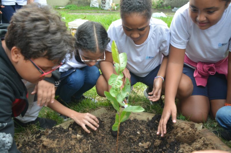 ''Brincando de plantar''_Carol Haber
