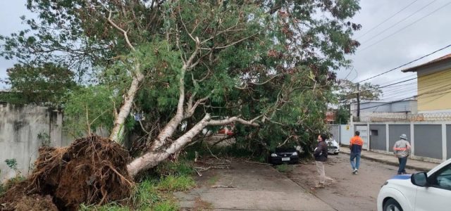 Defesa civil foi acionada por queda de uma árvore sobre um carro no Jardim Campomar /  foto divulgacao