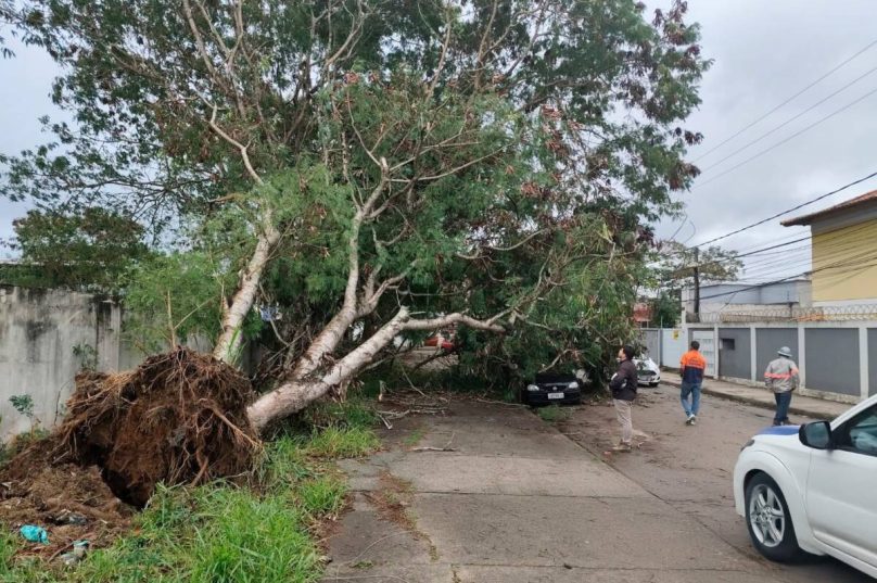 Defesa civil foi acionada por queda de uma árvore sobre um carro no Jardim Campomar /  foto divulgacao