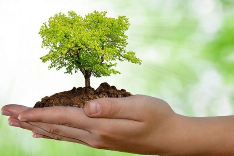 Dia-Mundial-do-Meio-Ambiente-2-1024x635