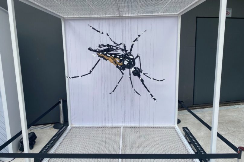 Exposição (divulgação)