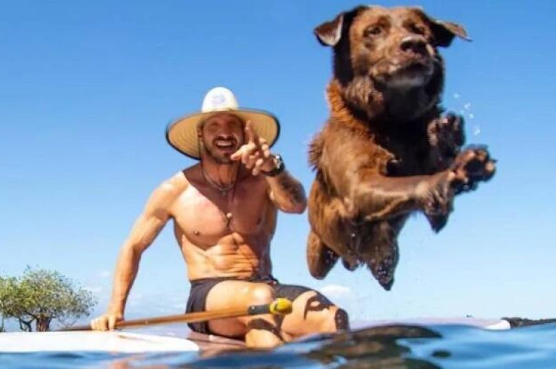 A dupla soma hoje seis títulos no campeonato mundial de surfe para cães / foto rede social