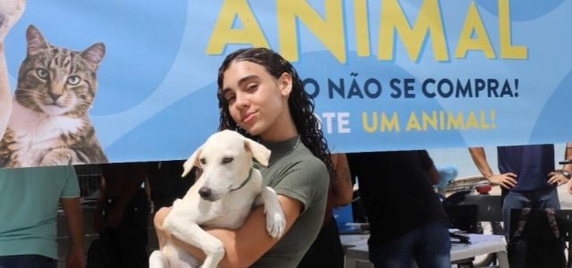 A Feira de Adoção Animal de Rio das Ostras garantiu um novo lar para Nivus, um cãozinho de cinco meses / foto Matheus Muller