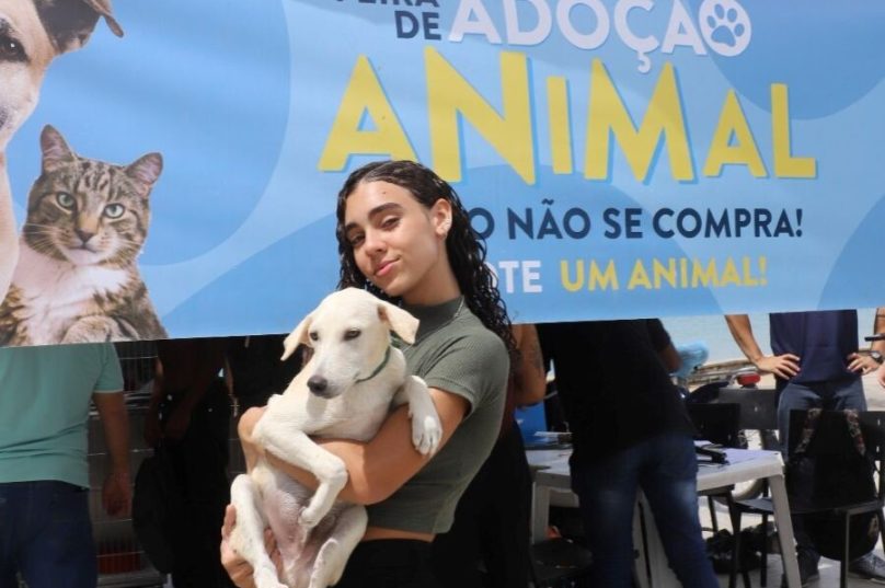 A Feira de Adoção Animal de Rio das Ostras garantiu um novo lar para Nivus, um cãozinho de cinco meses / foto Matheus Muller