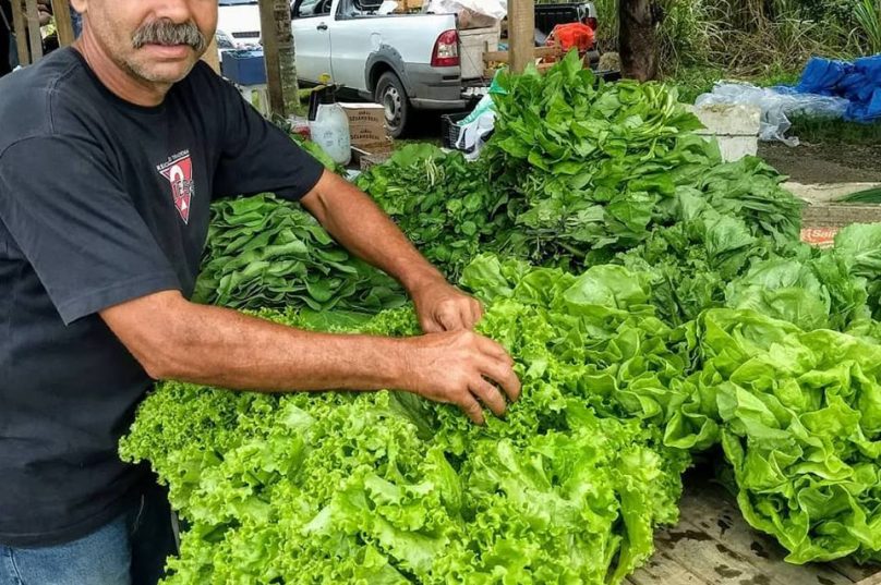 Feira-verde