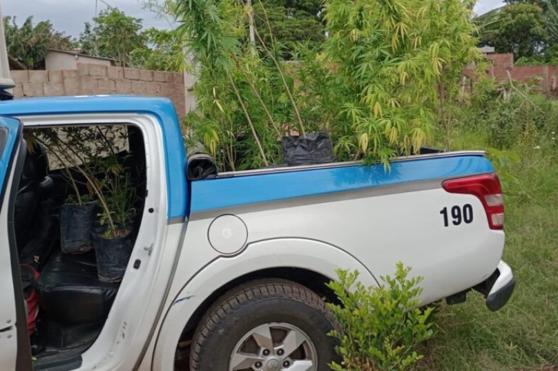 Foto- Divulgação