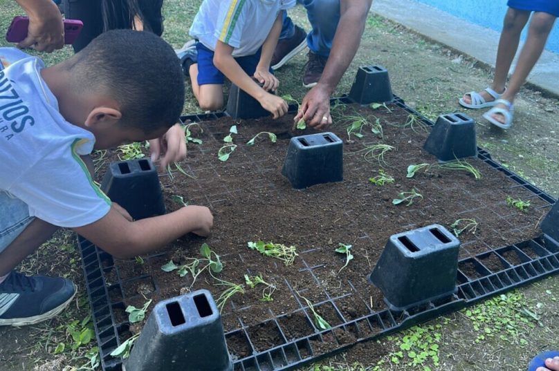 HORta na escola búzios saúde