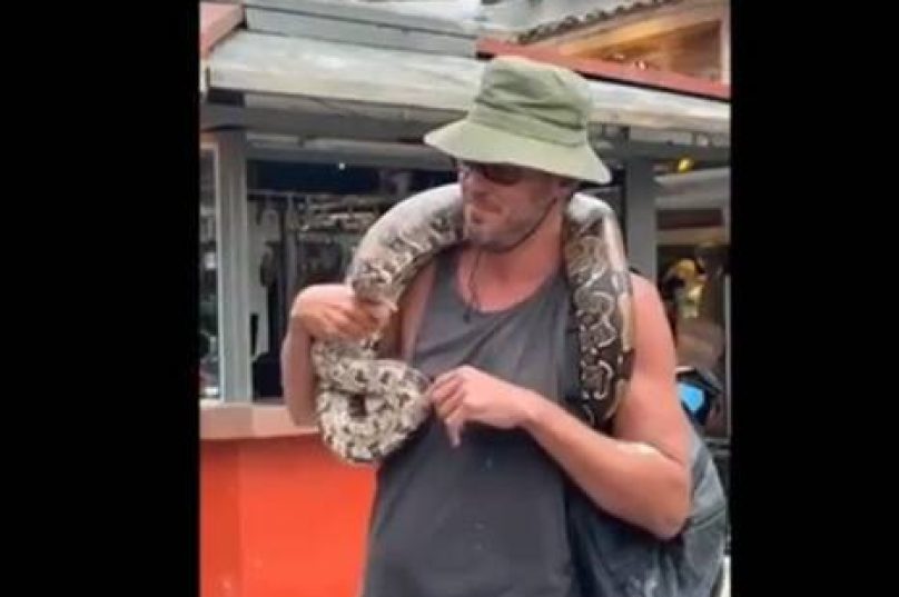 Homem percorre ruas de Búzios com uma jiboia no pescoço após resgatar o animal. Foto: Reprodução/G1