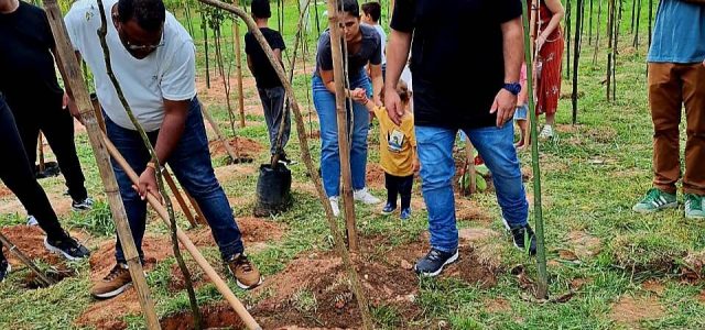 Macaé inaugura minifloresta com 500 mudas nativas no Jardim Guanabara em parceria com a Telnav. Projeto integra ações de reflorestamento urbano / foto divulgação