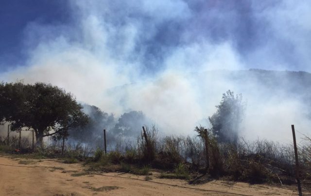 Incêndio Mangue de Pedras